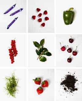 cabernet Franc