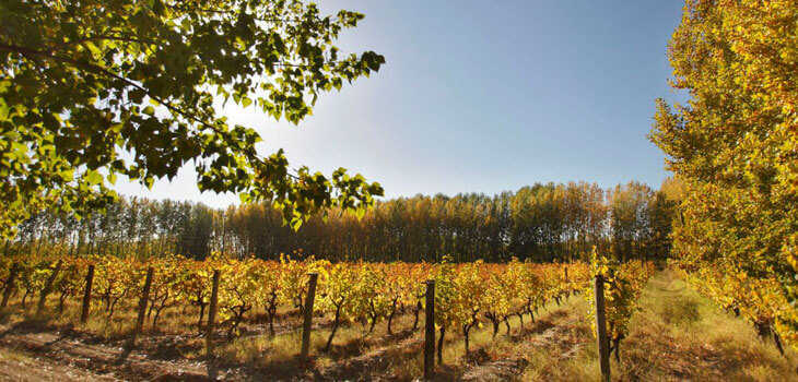 Alto Valle del Río Negro