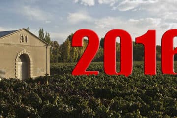 vendimia 2016