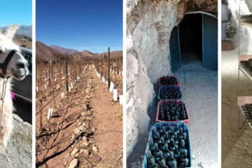 Quebrada de humahuaca