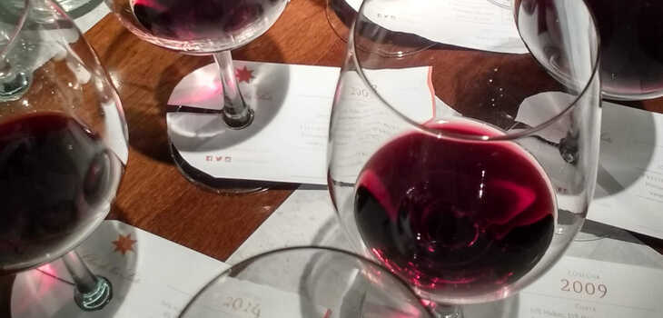 vinos jóvenes, reserva y gran reserva