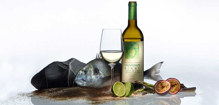 Estilos de Sauvignon Blanc
