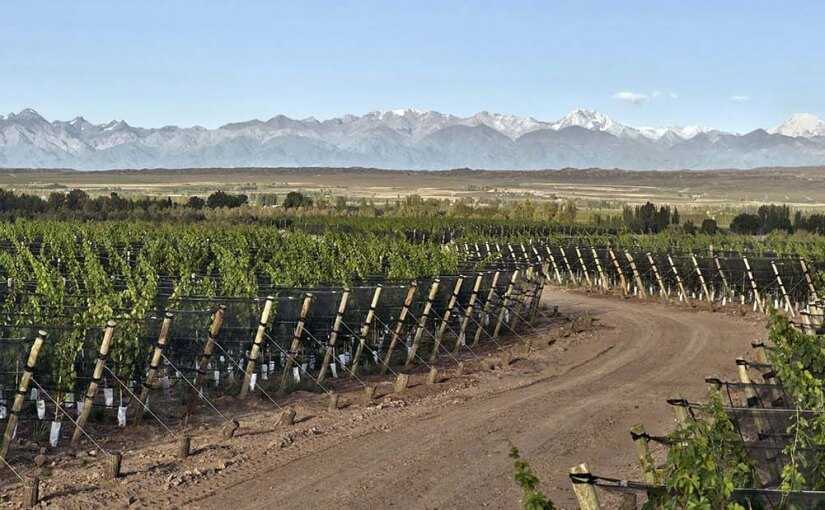 Turismo Mendoza