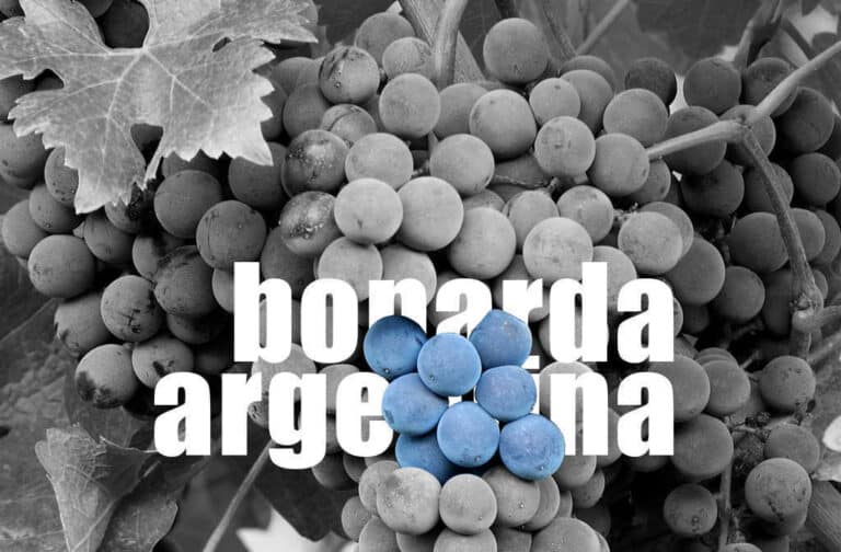 bonarda argentina