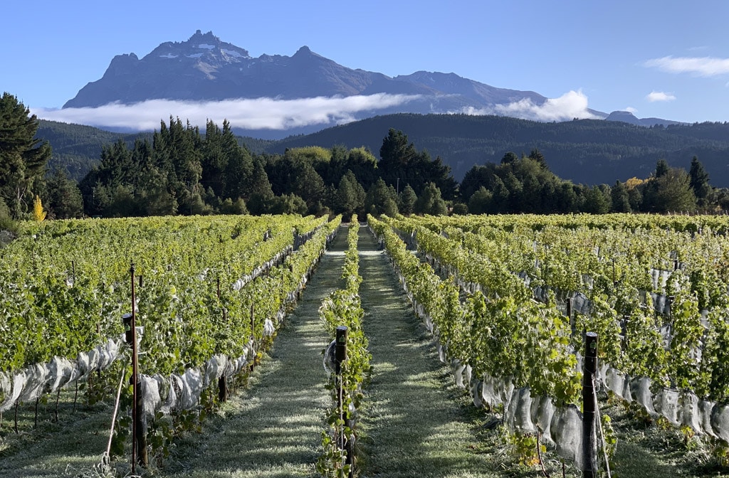 Indicación Geográfica Trevelin