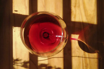 Nuevos vinos argentinos