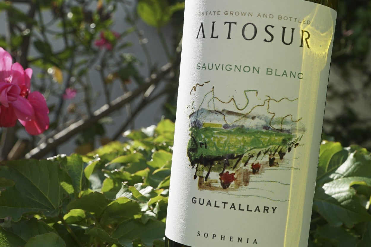 Altosur Sauvignon Blanc 2020