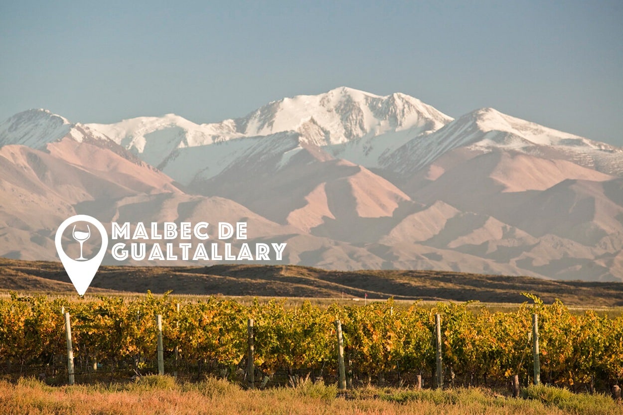 Mejores Malbec de Gualtallary