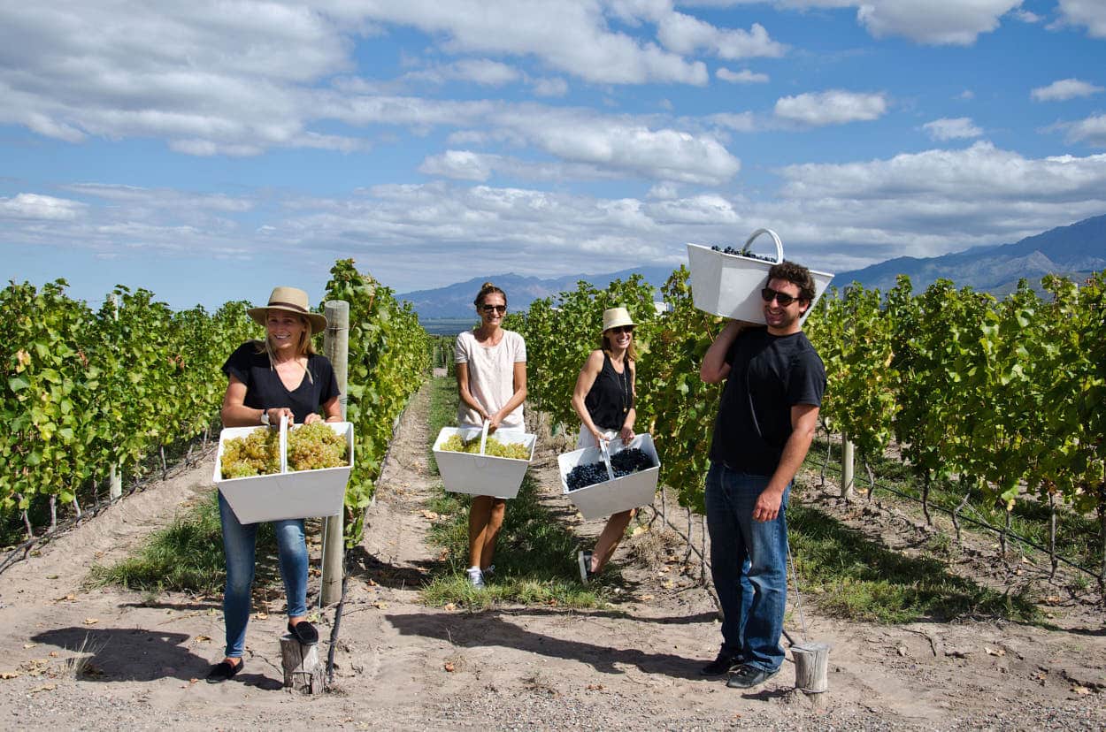vinos de propietario casa de uco