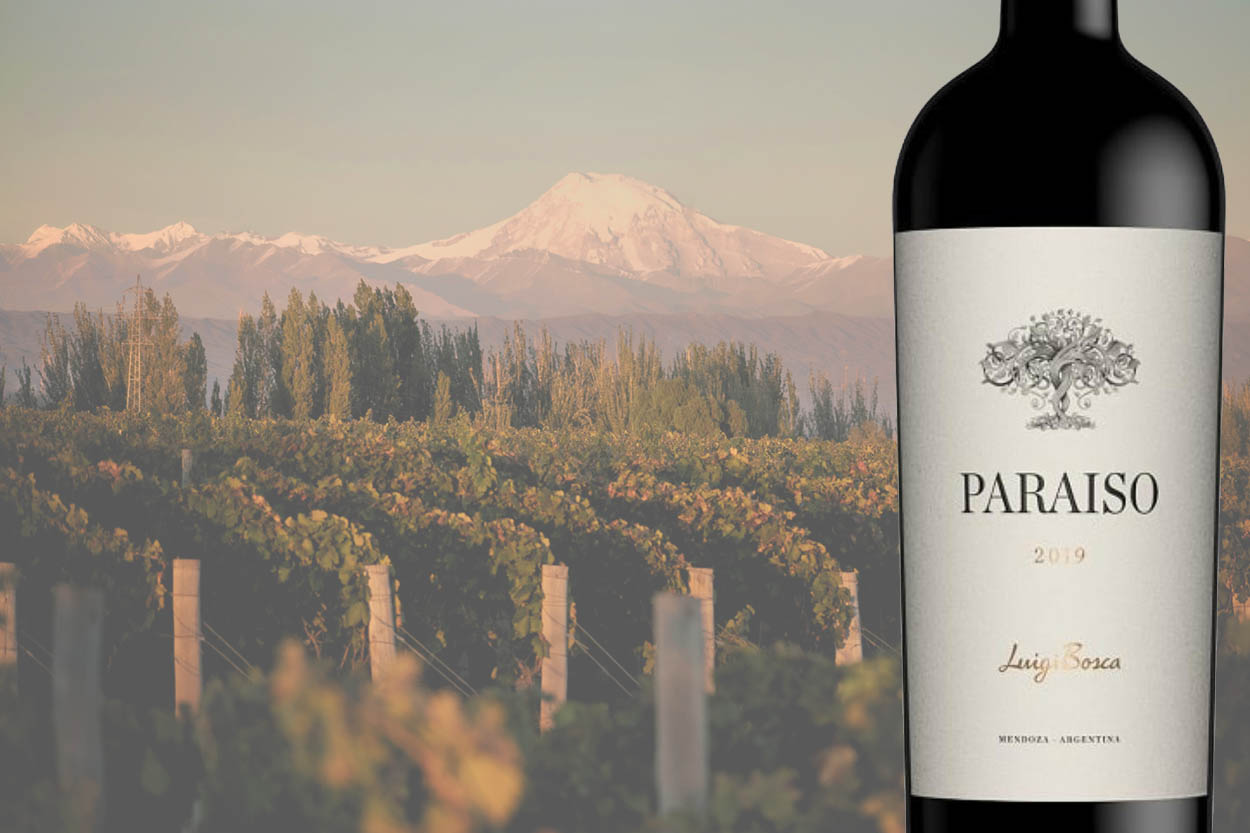 Luigi Bosca Paraíso 2019