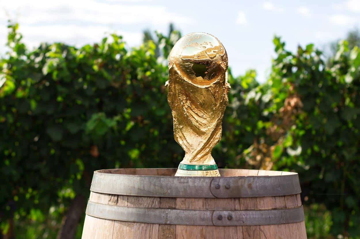 Vinos argentinos cosecha 2022