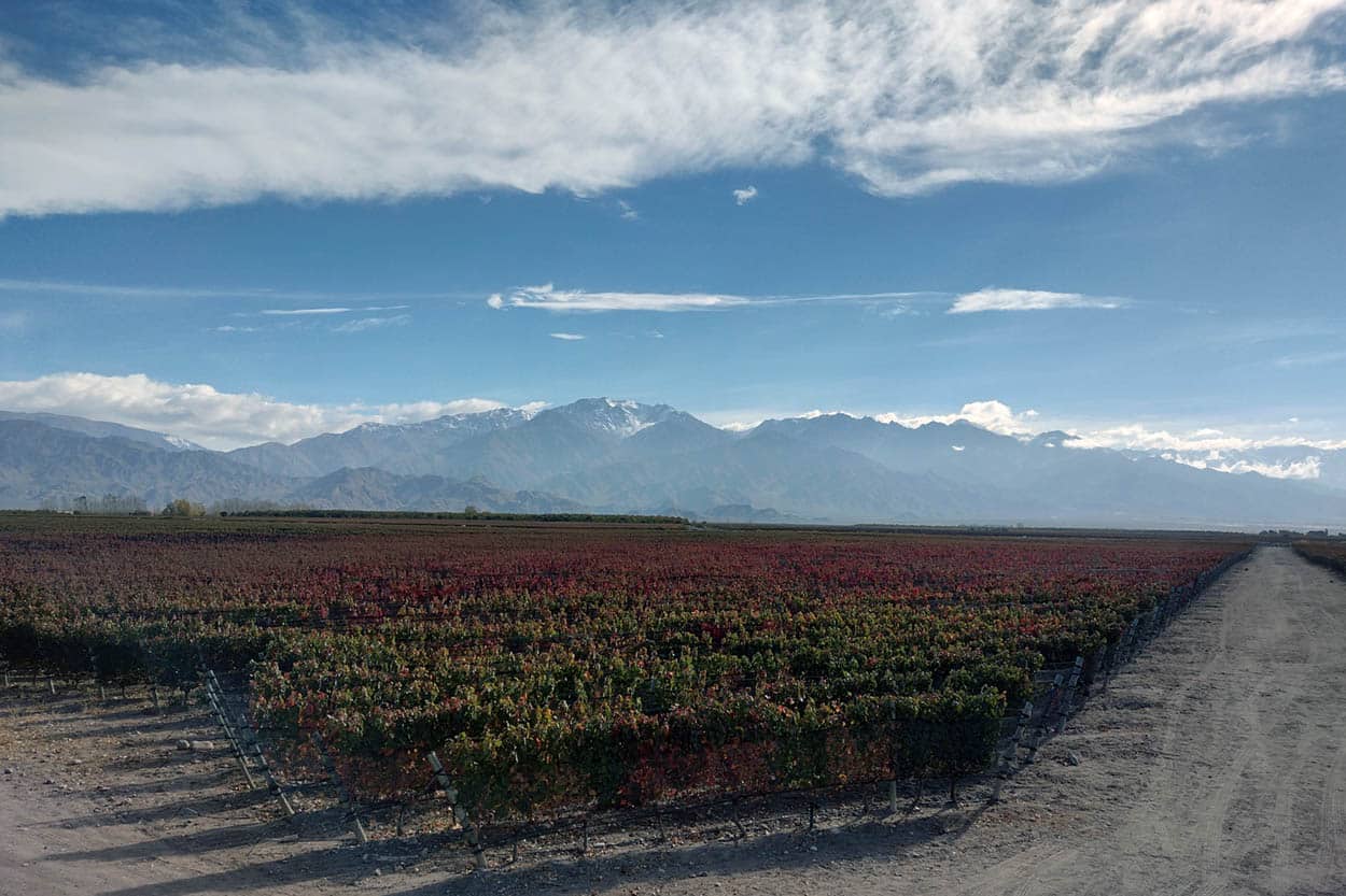 mejores Malbec de Valle de Uco