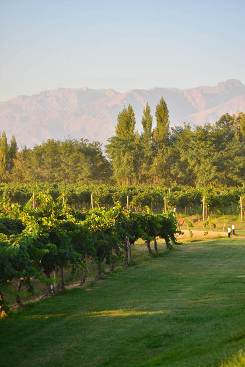 World’s Best Vineyards 2023: la mejor bodega del mundo es argentina (y 5 más se cuelan en ese TOP50) 2
