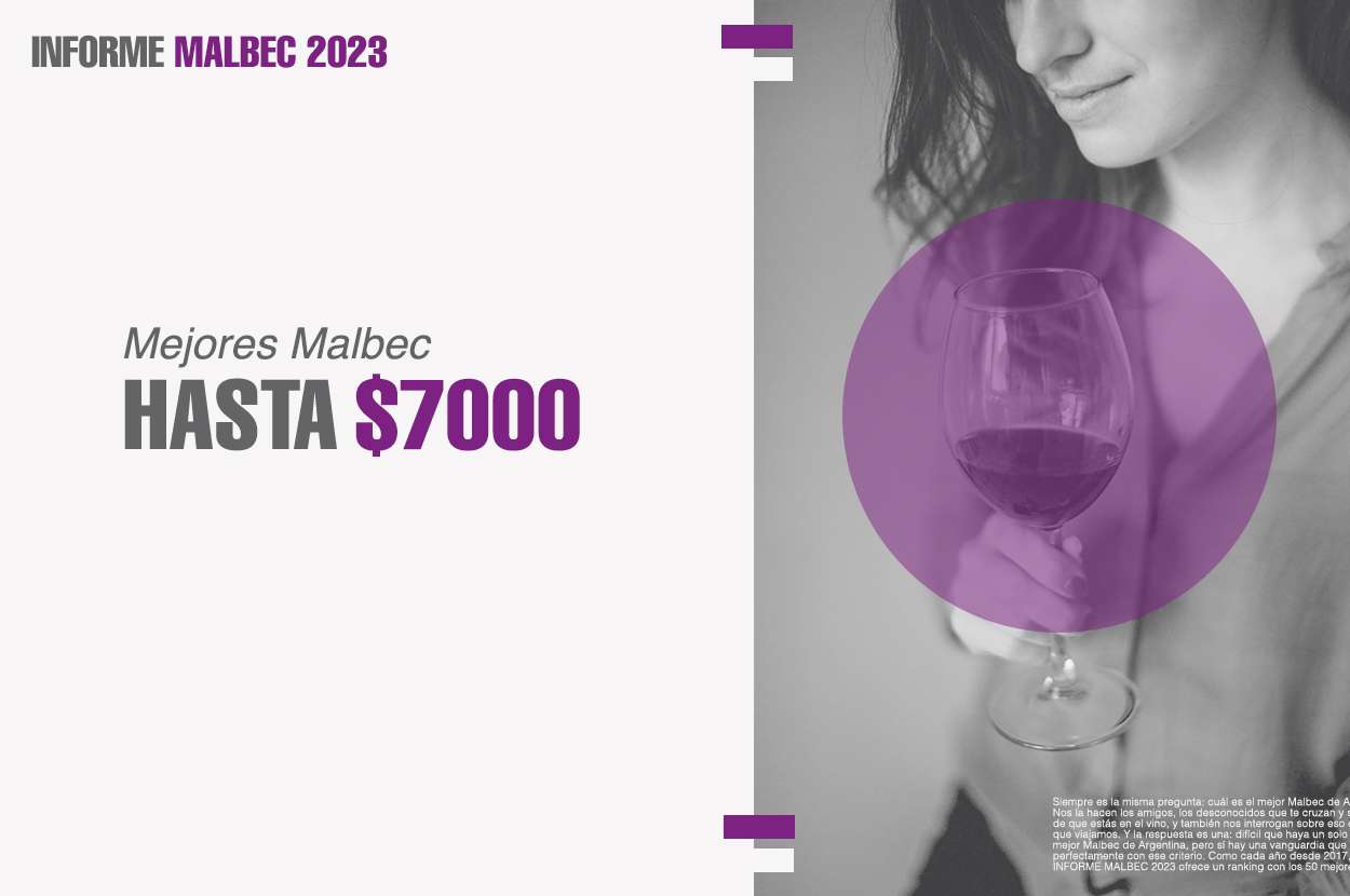 MEJORES MALBEC ARGENTINOS HASTA $7000