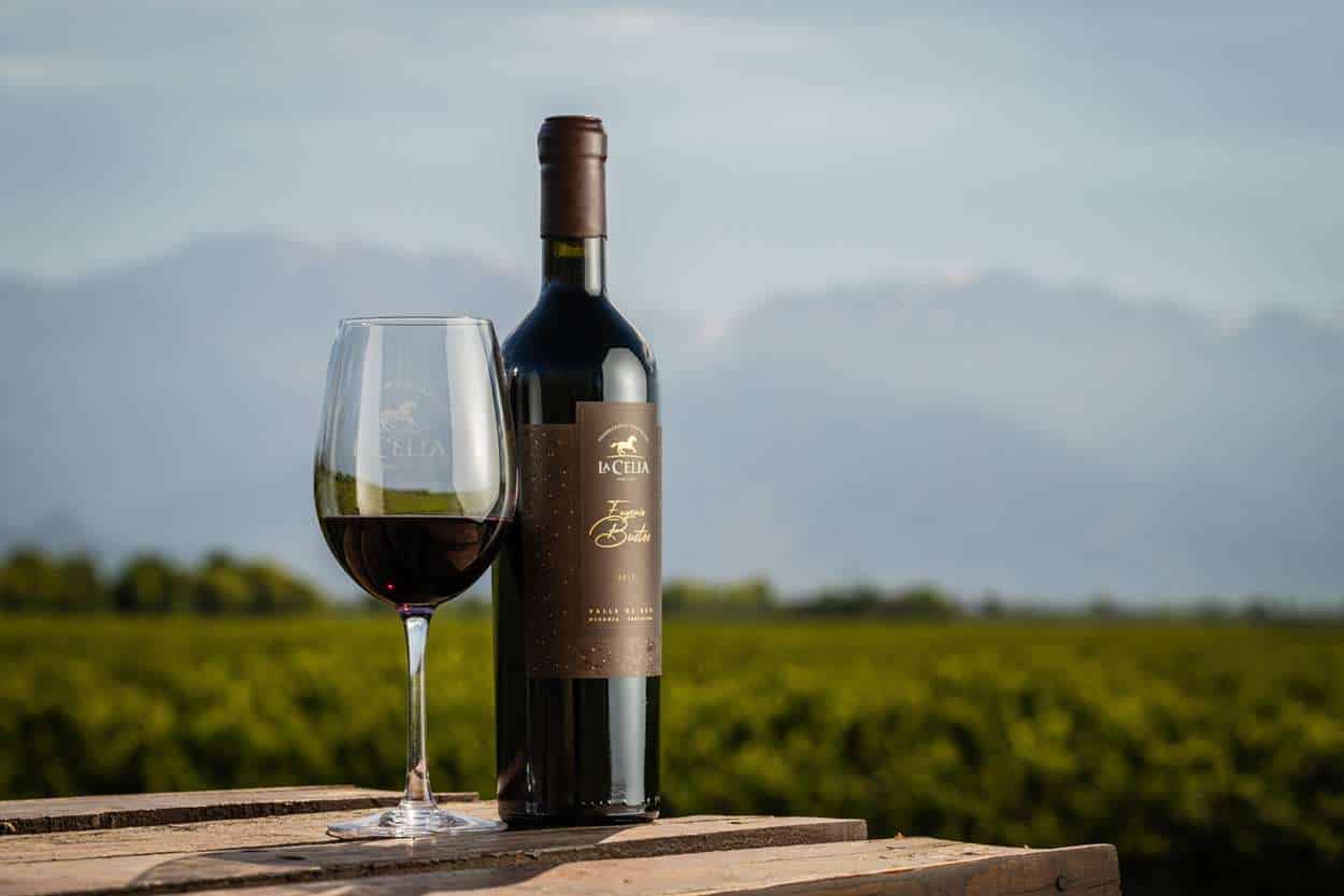 Cabernet Sauvignon de La Celia