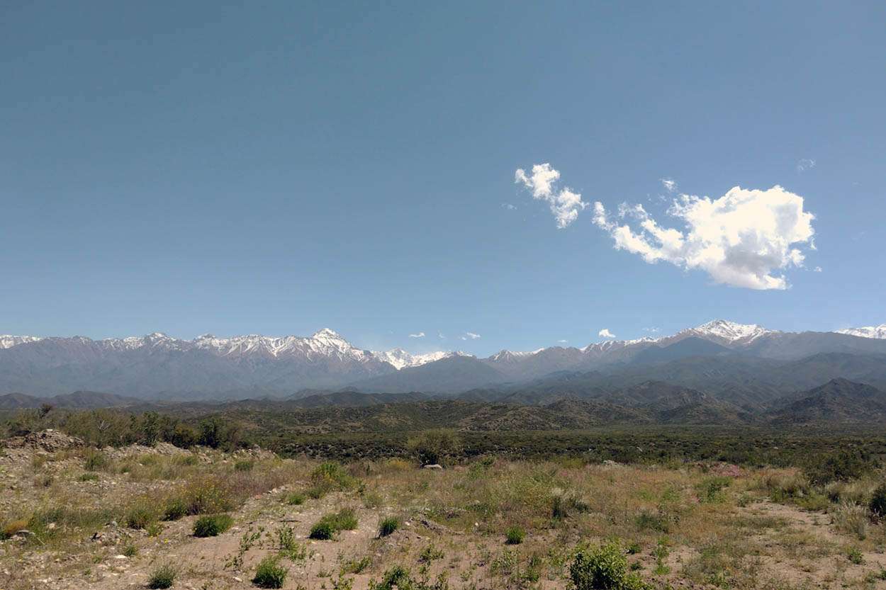 viñedos respetuosos de la naturaleza