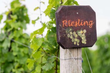 Riesling