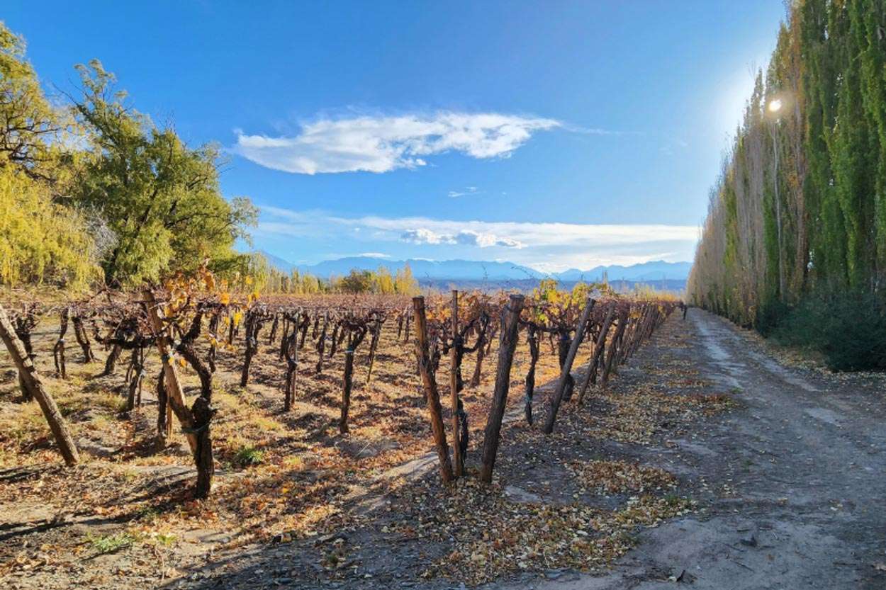 Indicaciones Geográficas de San Juan