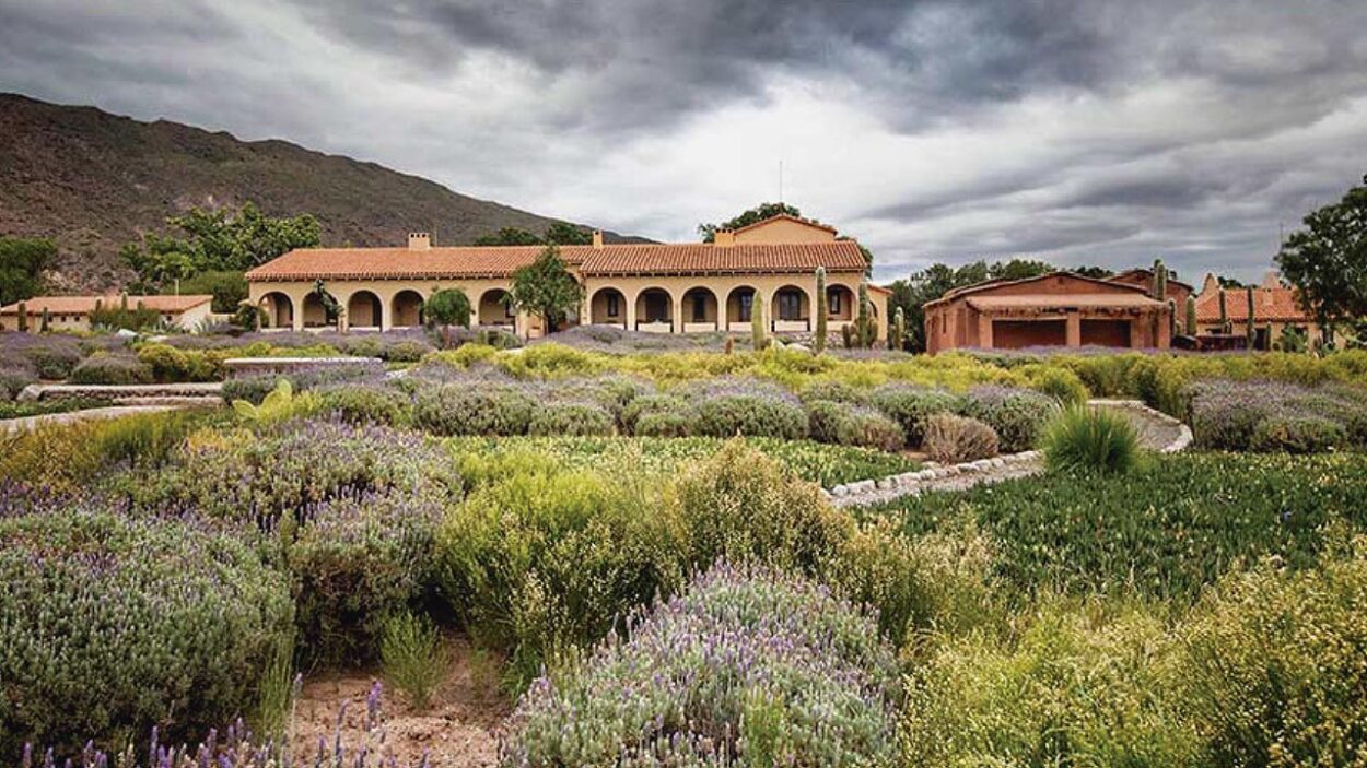 Bodega Colomé