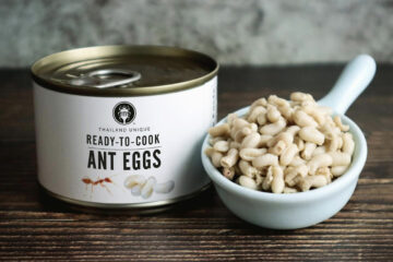 Latas exóticas para sobrevivir