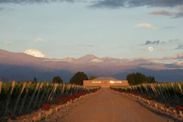 Finca Sophenia es una de las 50 mejores bodegas del mundo