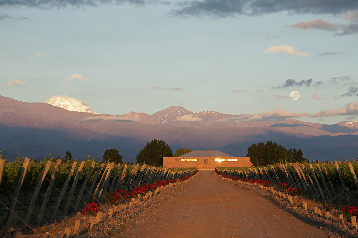 Finca Sophenia es una de las 50 mejores bodegas del mundo