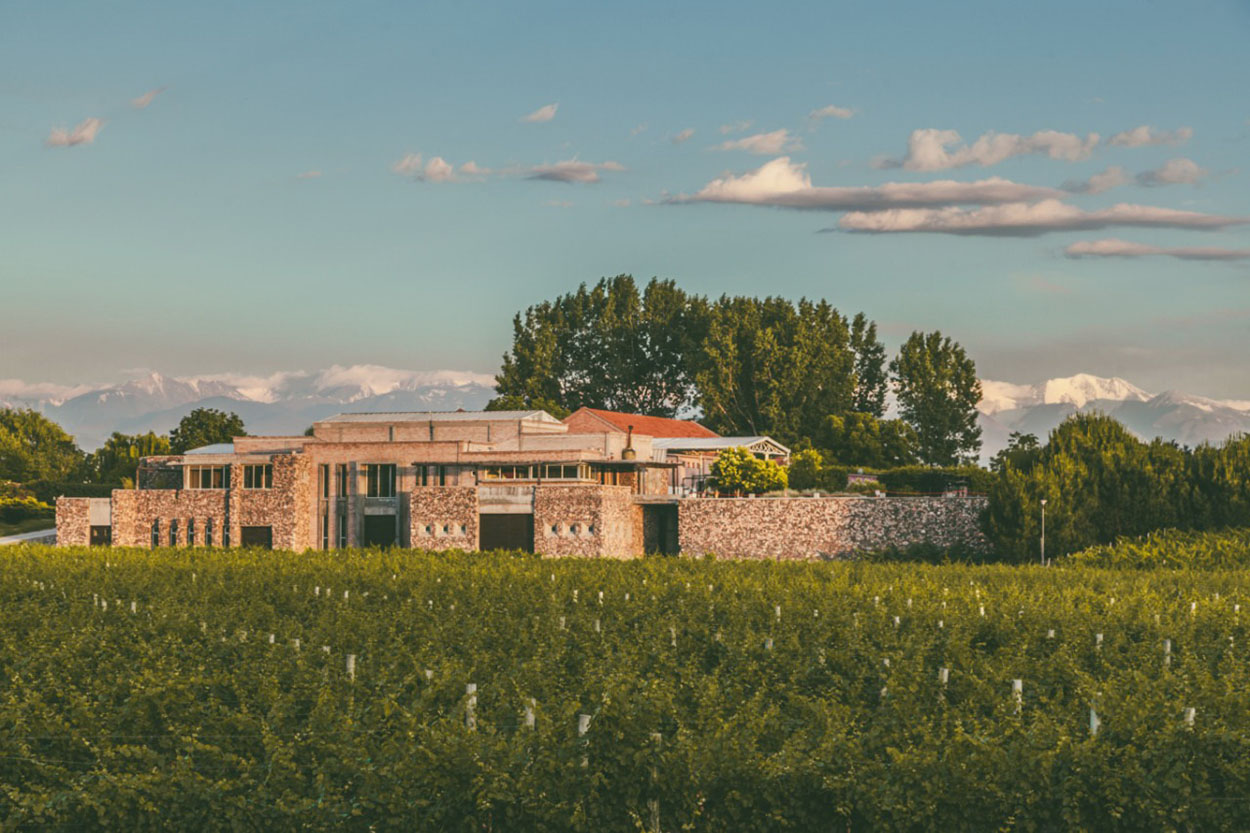 Bodegas bianchi