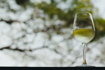 Sauvignon Blanc argentina
