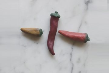 Chocolatorio Mendocino