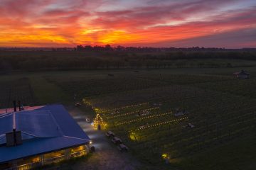 Bodega Gamboa