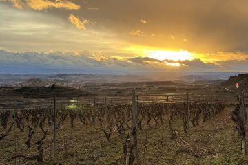 Viñas viejas