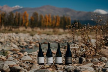 Gustavo Bertagna Wines