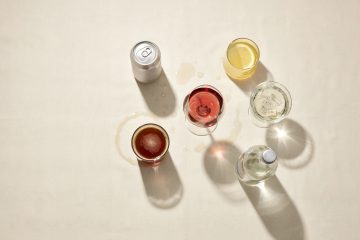 industria del vino