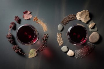 terroir o variedad
