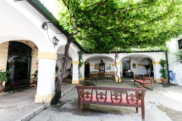Bodegas Tradición: 4 siglos de arte, cultura y vino