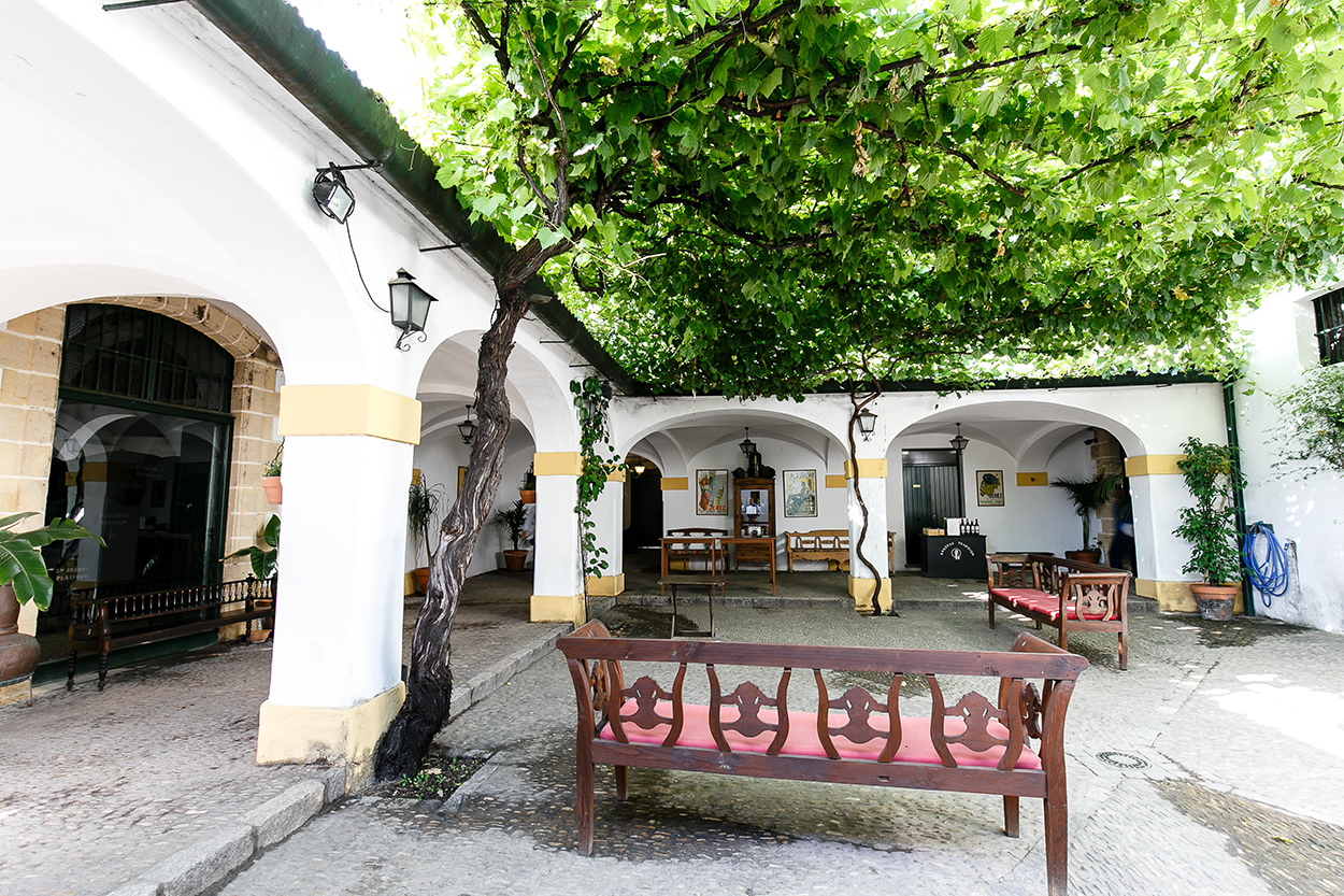 Bodegas Tradición: 4 siglos de arte, cultura y vino